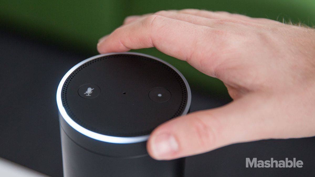 The Amazon Echo, one of the most widely used 'internet of things' devices used in the U.S.