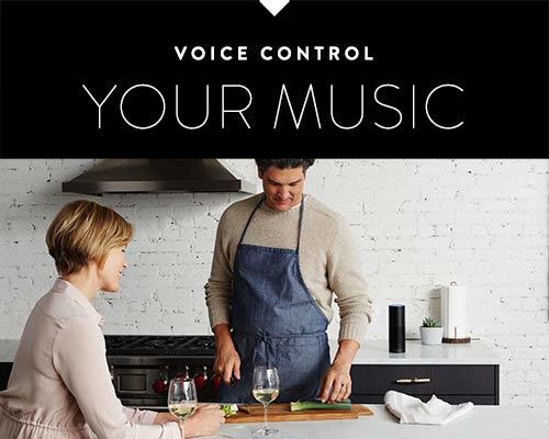 Voice Control YOUR MUSIC