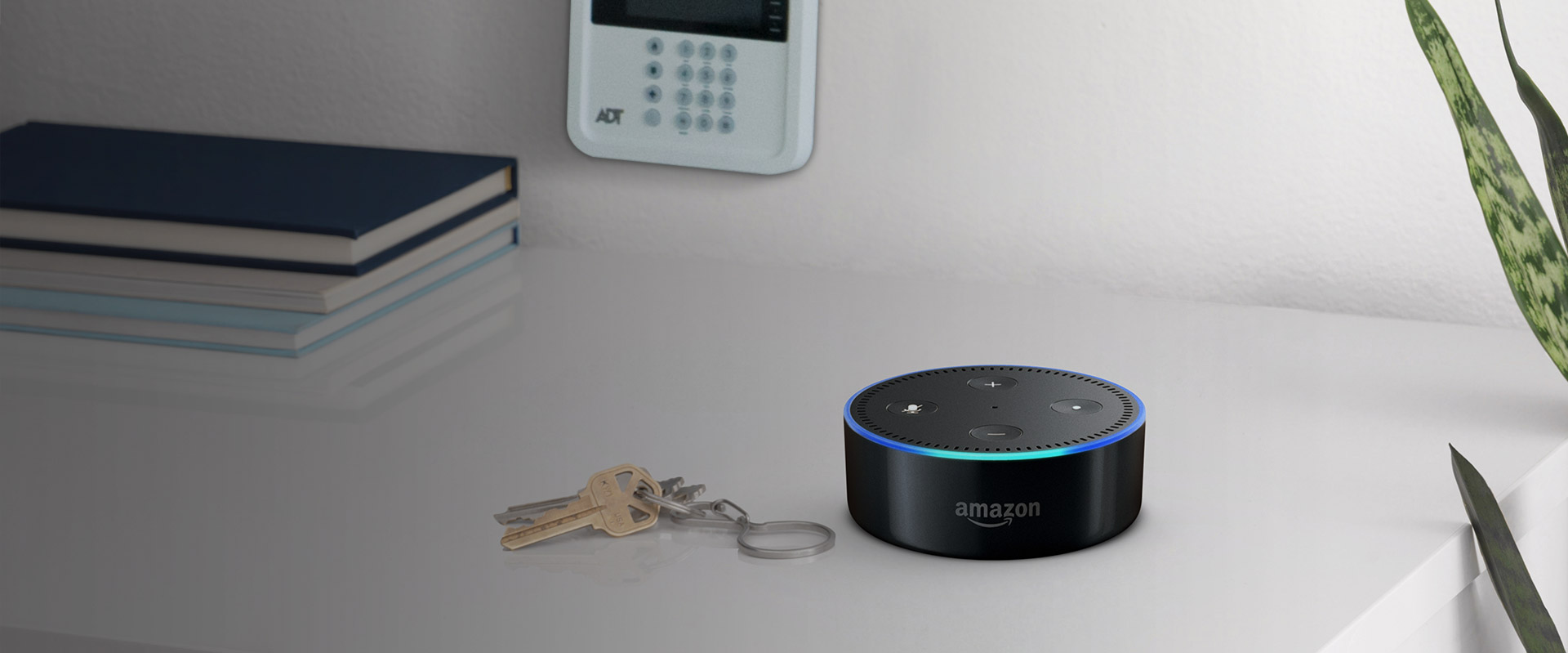 How Can Alexa Help You Sell Your Property ?