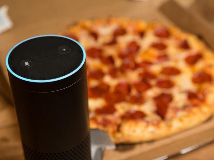 A picture of an Echo and a pizza